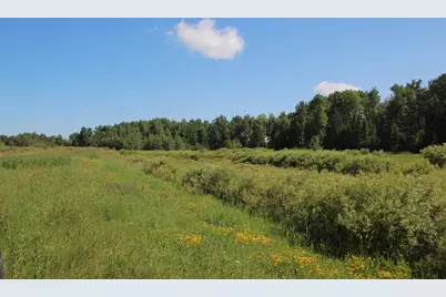 2536 E Gogomain Road, Pickford, MI 49774 - Photo 35