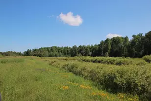 2536 E Gogomain Rd, Pickford, MI 49774 - Photo 35