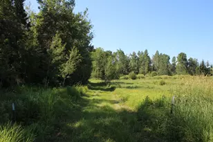 2536 E Gogomain Rd, Pickford, MI 49774 - Photo 45