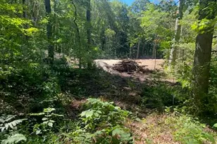 14940 Kelly St, Spring Lake, MI 49456 - Photo 3