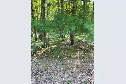 10897 N Mac Road, Irons, MI 49644 - Photo 19