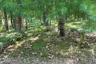 10897 N Mac Rd, Irons, MI 49644 - Photo 19