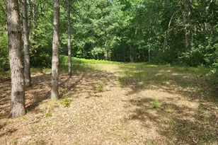 7354 S Riverbend Rd, Branch, MI 49402 - Photo 3