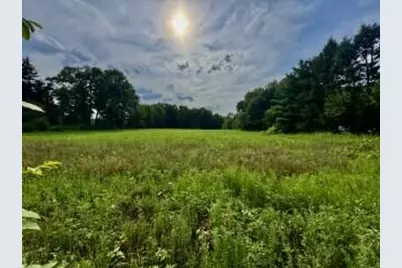 V/L Mead Road, Buchanan, MI 49107 - Photo 1