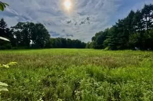 V/L Mead Rd, Buchanan, MI 49107 - Photo 1