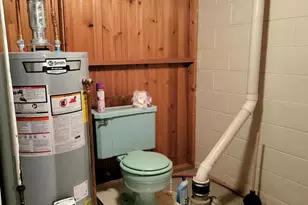 10910 North Dr, Fowler, MI 48835 - Photo 31