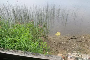 890 White Lake Rd, Pleasant Lake, MI 49272 - Photo 89