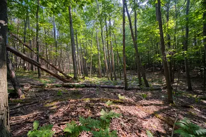 2521 Crescent Beach Road, Manistee, MI 49660 - Photo 57