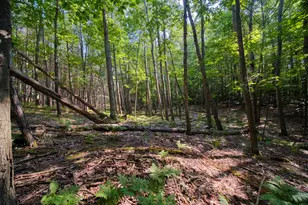 2521 Crescent Beach Rd, Manistee, MI 49660 - Photo 57