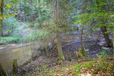 V/L 2.46A E White River Drive, Hesperia, MI 49421 - Photo 15