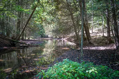 V/L 2.46A E White River Drive, Hesperia, MI 49421 - Photo 11