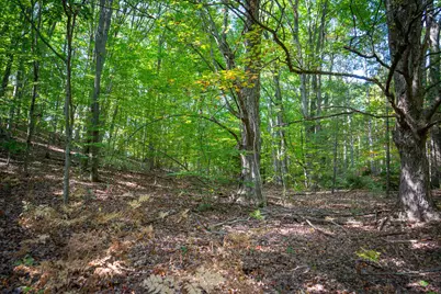 V/L 2.46A E White River Drive, Hesperia, MI 49421 - Photo 33