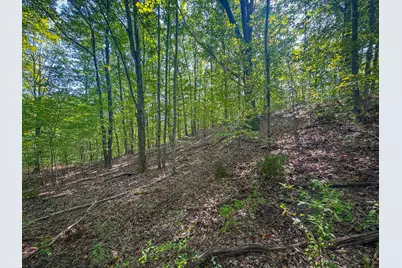 V/L 2.46A E White River Drive, Hesperia, MI 49421 - Photo 35