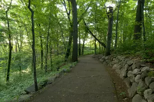 8605 Brighten Trail, Mattawan, MI 49071 - Photo 21