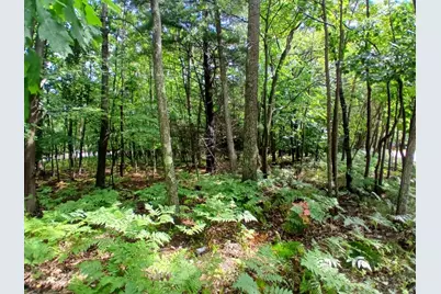 4756 N Ridge Road, Mears, MI 49436 - Photo 3