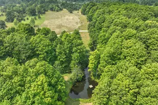 4353 E 6 Mile Rd, Luther, MI 49656 - Photo 67