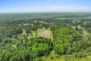 4353 E 6 Mile Rd, Luther, MI 49656 - Photo 5