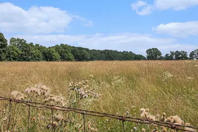 10989 Scio Church Road, Chelsea, MI 48118 - Photo 53