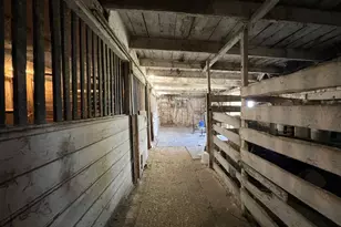 5411 Lilac Rd, Reading, MI 49274 - Photo 57