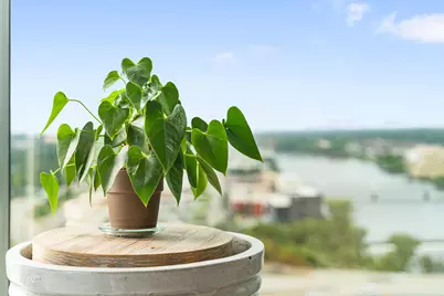 335 Bridge Street NW #1705, Grand Rapids, MI 49504 - Photo 27