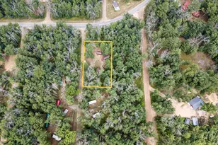 8532 S 1st St, Baldwin, MI 49304 - Photo 1