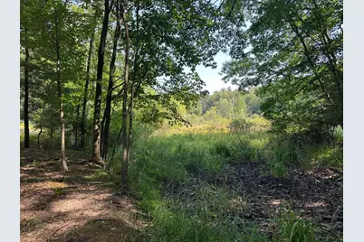 0 Fruitvale Road, Montague, MI 49437 - Photo 1