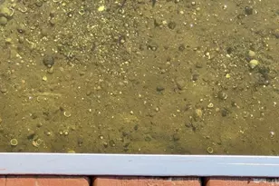 5701 Head Lake Rd, Hastings, MI 49058 - Photo 3