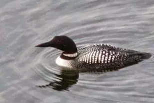 5701 Head Lake Rd, Hastings, MI 49058 - Photo 51