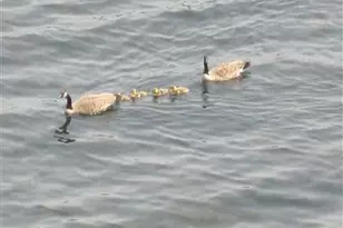 5701 Head Lake Rd, Hastings, MI 49058 - Photo 67