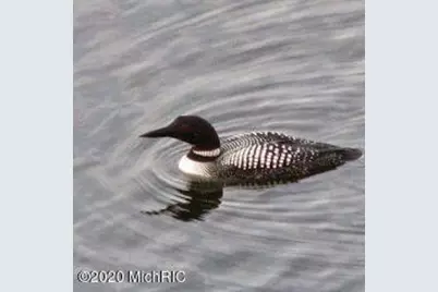 5701 Head Lake Road, Hastings, MI 49058 - Photo 51