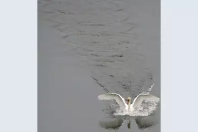 5701 Head Lake Road, Hastings, MI 49058 - Photo 69