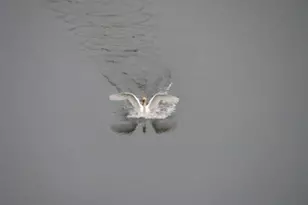 5701 Head Lake Rd, Hastings, MI 49058 - Photo 69