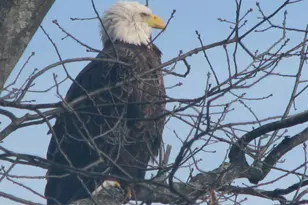 5701 Head Lake Rd, Hastings, MI 49058 - Photo 39