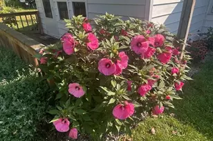 8039 Riley Rd, Farwell, MI 48622 - Photo 9