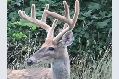 211 Bluff Avenue, Eastlake, MI 49626 - Photo 93