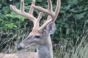 211 Bluff Ave, Eastlake, MI 49626 - Photo 93