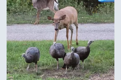 211 Bluff Avenue, Eastlake, MI 49626 - Photo 95