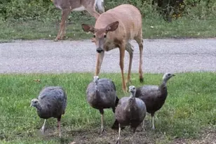 211 Bluff Ave, Eastlake, MI 49626 - Photo 95