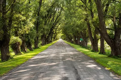 211 Bluff Avenue, Eastlake, MI 49626 - Photo 77