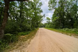 925 S High Bridge Rd, Wellston, MI 49689 - Photo 49