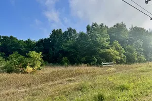 9554 E Us-10, Branch, MI 49402 - Photo 13