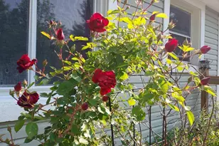 1934 Nazareth Rd, Kalamazoo, MI 49048 - Photo 17