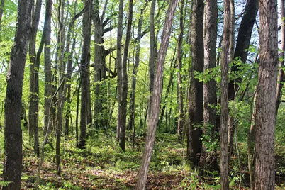 104th Avenue, Allegan, MI 49010 - Photo 3