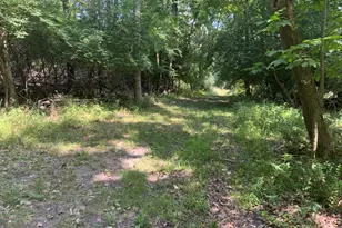 4350 Bailey Rd, Jackson, MI 49201 - Photo 33