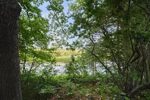 1384 Olson Rd, Manistee, MI 49660 - Photo 47