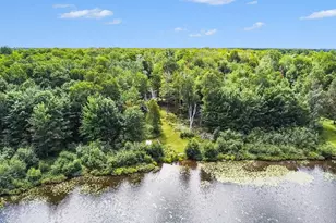 31588 W Birch Shores Dr, Trout Lake, MI 49793 - Photo 5