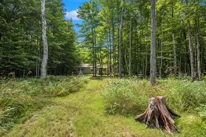 31588 W Birch Shores Drive, Trout Lake, MI 49793 - Photo 37