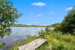 31588 W Birch Shores Dr, Trout Lake, MI 49793 - Photo 3