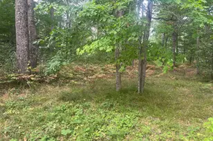2535 W Wilderness Way, Baldwin, MI 49304 - Photo 11
