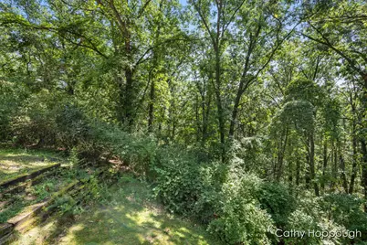 735 Prairie Creek Road, Ionia, MI 48846 - Photo 67